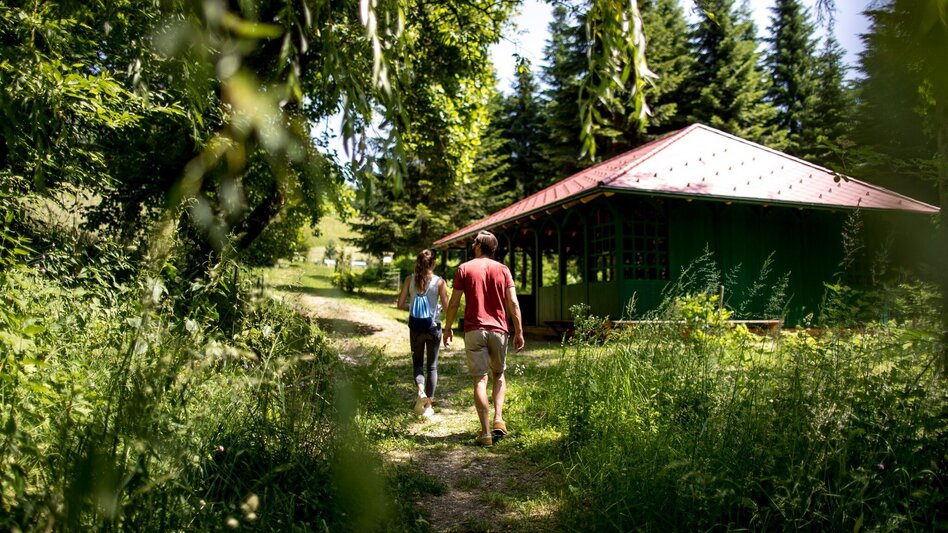 Wanderung pflanzen RIECHEN in Laßnitzhöhe - Touren-Impression #2.4