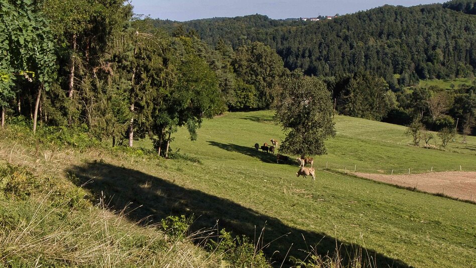 Hiking Route Heldenkreuzweg - Touren-Impression #2.2 | © Region Graz
