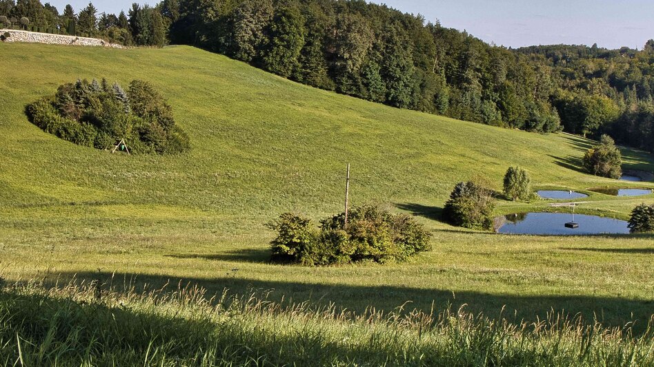 Hiking Route Heldenkreuzweg - Touren-Impression #2.4 | © Weges OG