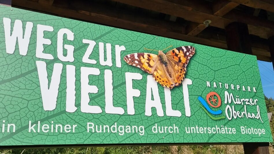 Hiking Route Path to Diversity - Touren-Impression #2.2 | © TV Hochsteiermark