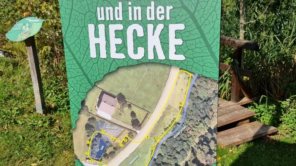 Hiking Route Path to Diversity - Touren-Impression #2.3 | © TV Hochsteiermark