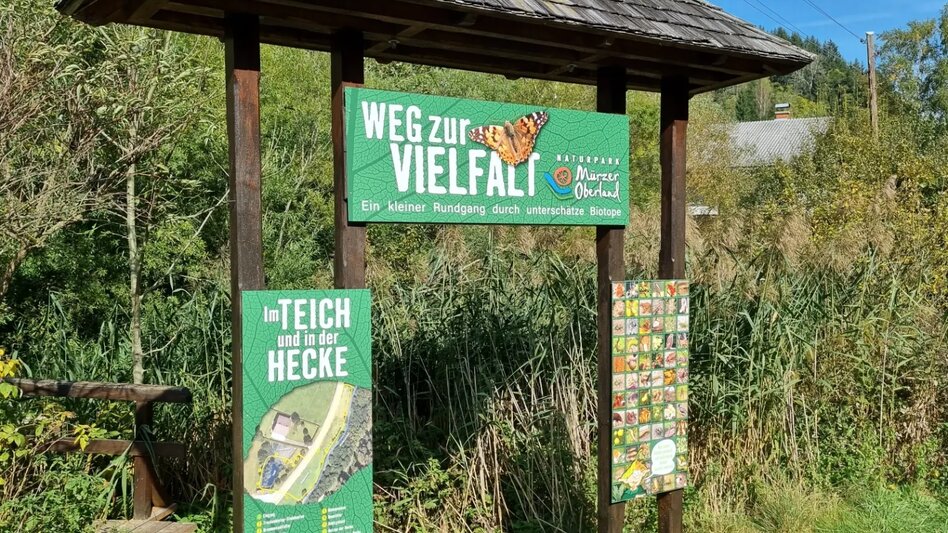 Hiking Route Path to Diversity - Touren-Impression #2.4 | © TV Hochsteiermark