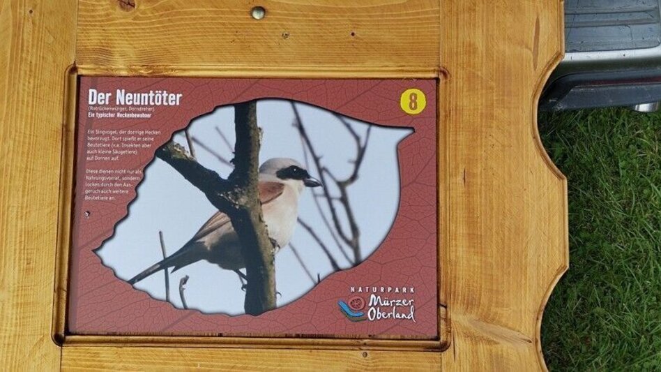 Hiking Route Path to Diversity - Touren-Impression #2.5 | © TV Hochsteiermark