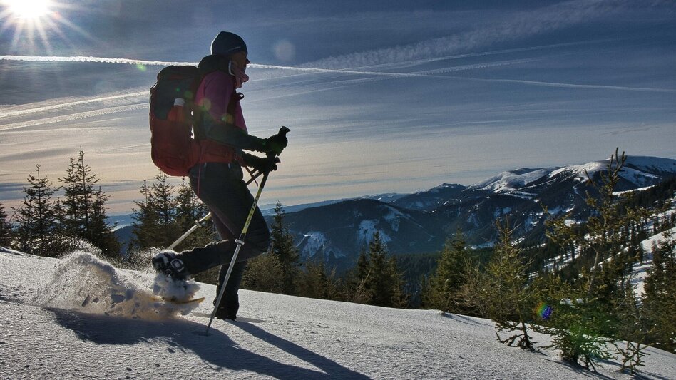 Hiking Route Fensteralm, 1642 m - Touren-Impression #2.1 | © Weges OG