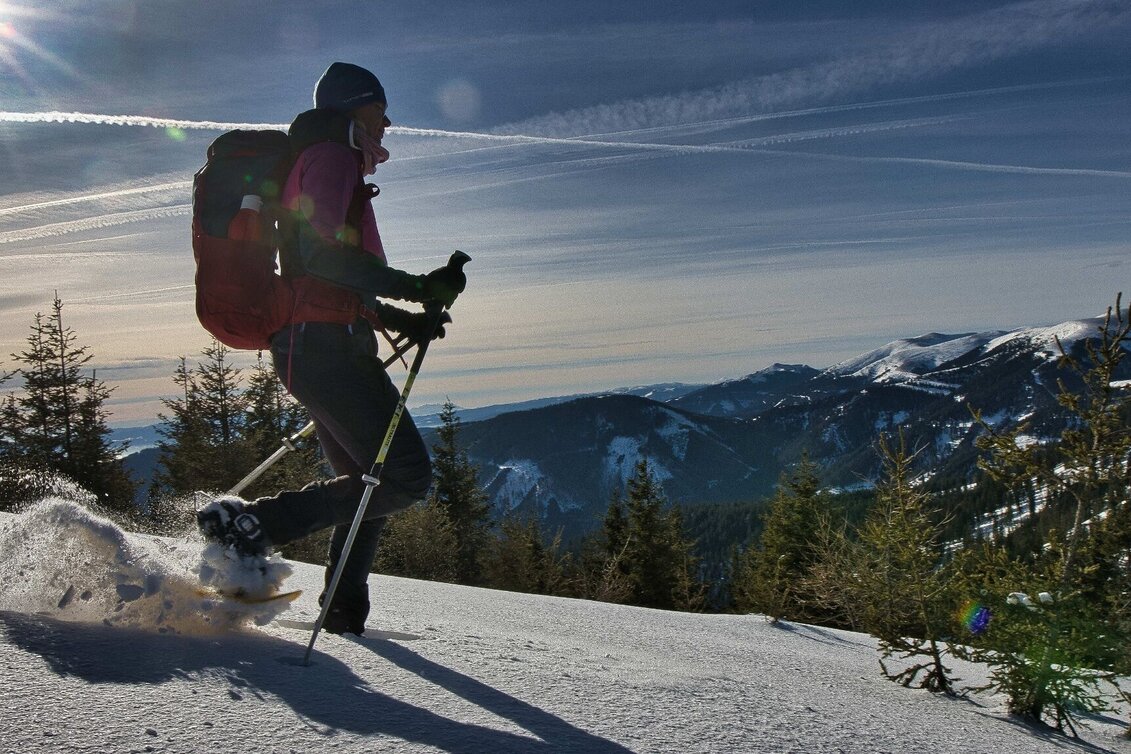 Hiking Route Fensteralm, 1642 m - Touren-Impression #1 | © Weges OG