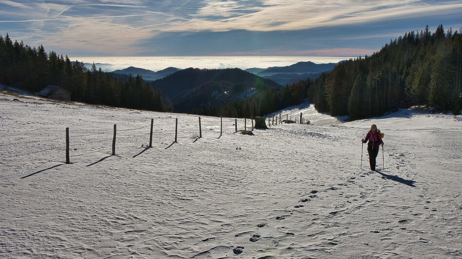 Hiking Route Fensteralm, 1642 m - Touren-Impression #2.2 | © Weges OG