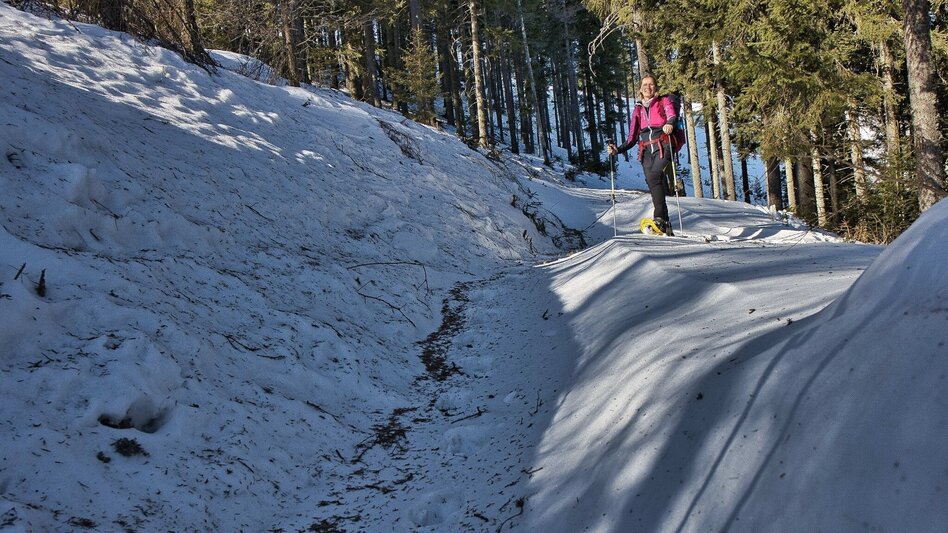 Hiking Route Fensteralm, 1642 m - Touren-Impression #2.5 | © Weges OG