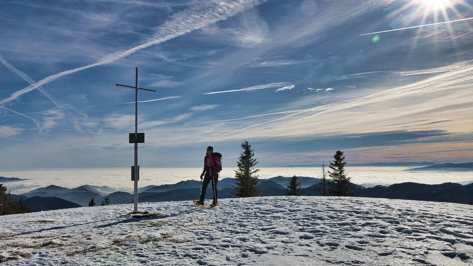 Hiking Route Fensteralm, 1642 m - Touren-Impression #2.6 | © Weges OG
