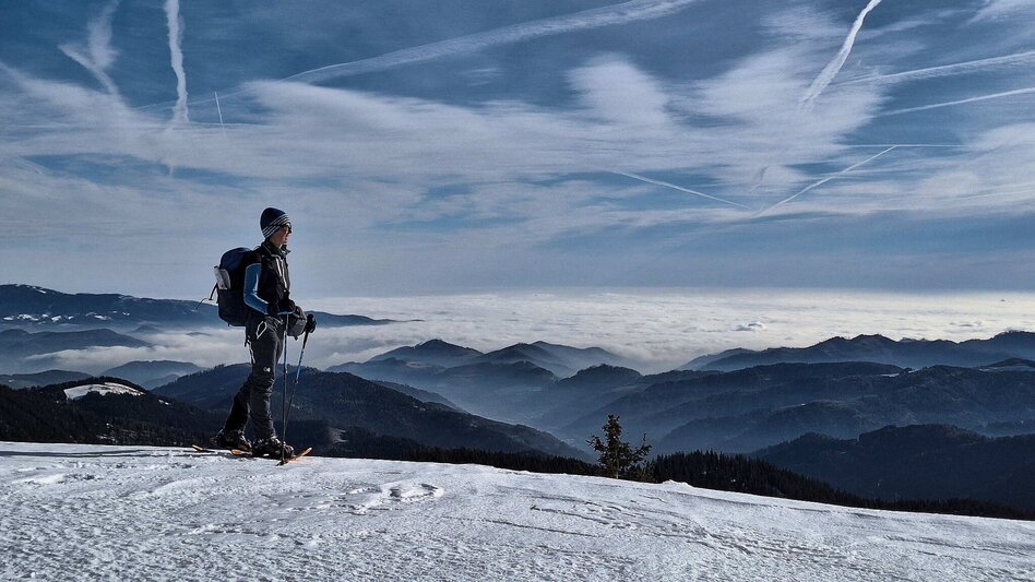 Hiking Route Fensteralm, 1642 m - Touren-Impression #2.7 | © Weges OG