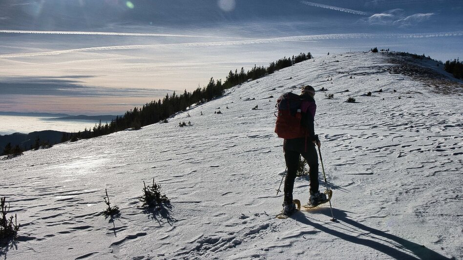 Hiking Route Fensteralm, 1642 m - Touren-Impression #2.8 | © Weges OG