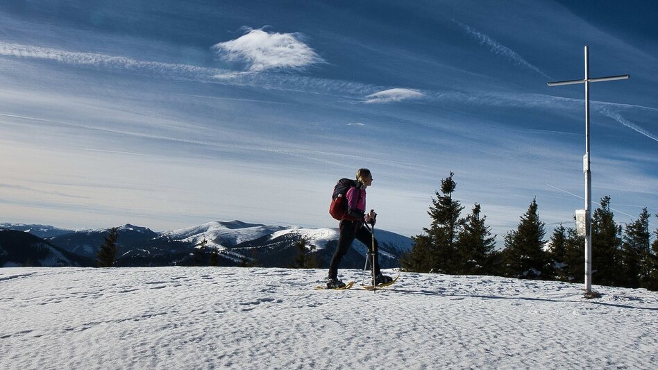 Hiking Route Fensteralm, 1642 m - Touren-Impression #2.9 | © Weges OG