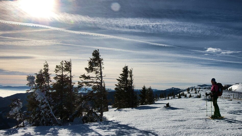 Hiking Route Fensteralm, 1642 m - Touren-Impression #2.11 | © Region Graz