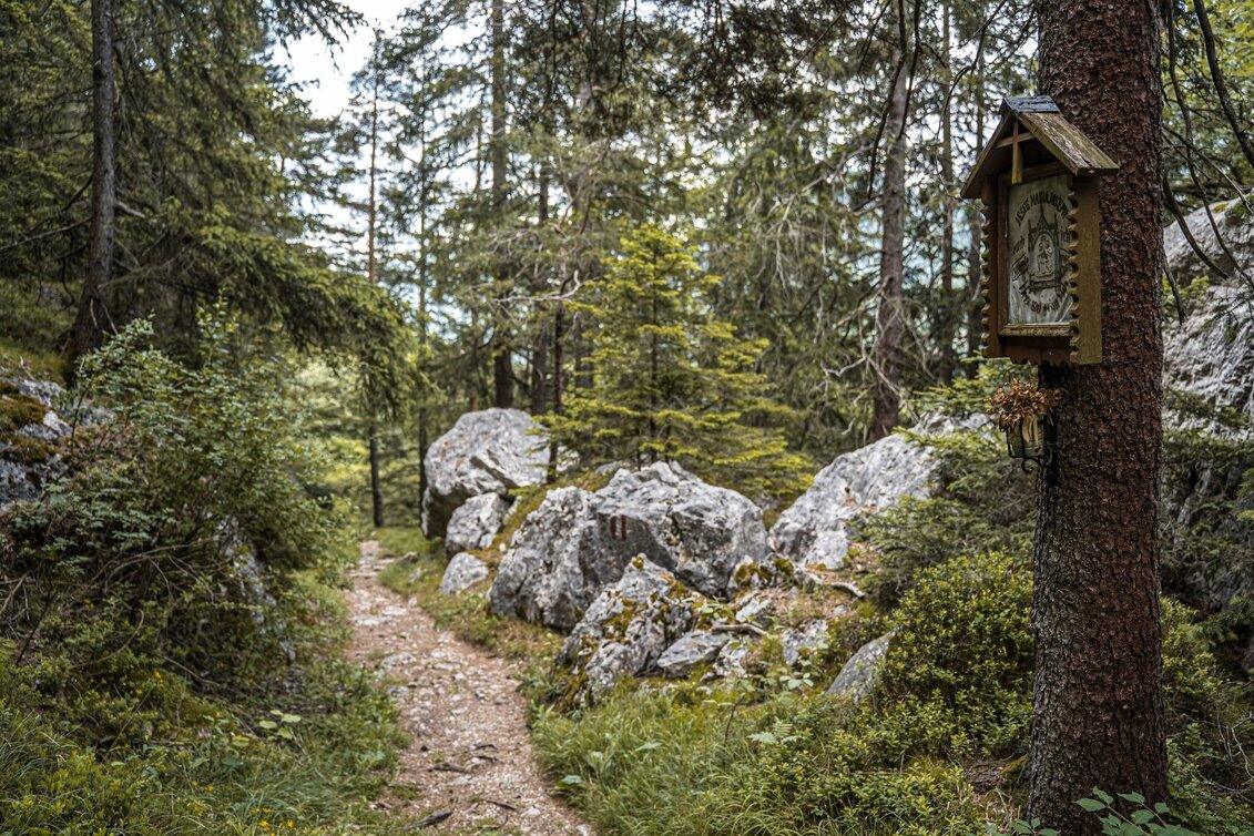 Wanderung Pürgg & Marterlweg ab Lessern - Touren-Impression #1 | © Erlebnisregion Schladming-Dachstein