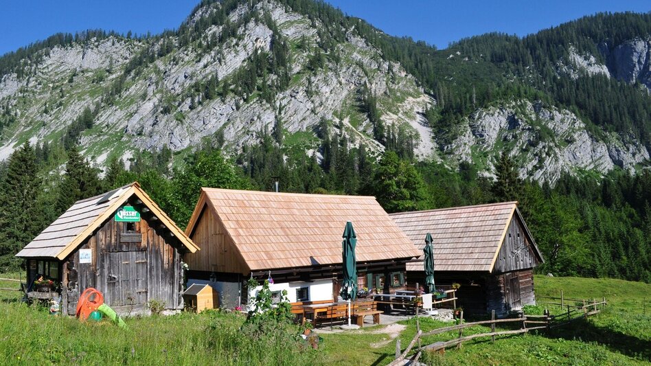 Wanderung Steirersee, Schwarzensee & Gnanitz Alm ab Parkplatz Gretl-Hütte - Touren-Impression #2.6 | © Johnsleitnerhütte
