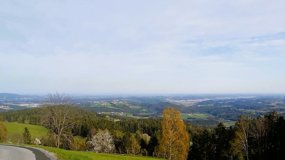 Cycling Passail-Weiz-Radtour, Passail - Touren-Impression #2.9 | © Oststeiermark Tourismus