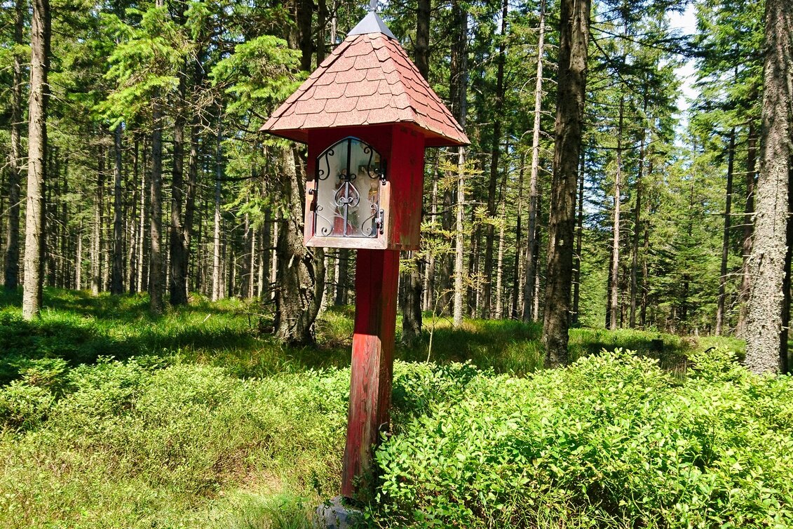 Hiking Route Alpl round, St. Kathrein am Hauenstein - Touren-Impression #1 | © Oststeiermark Tourismus