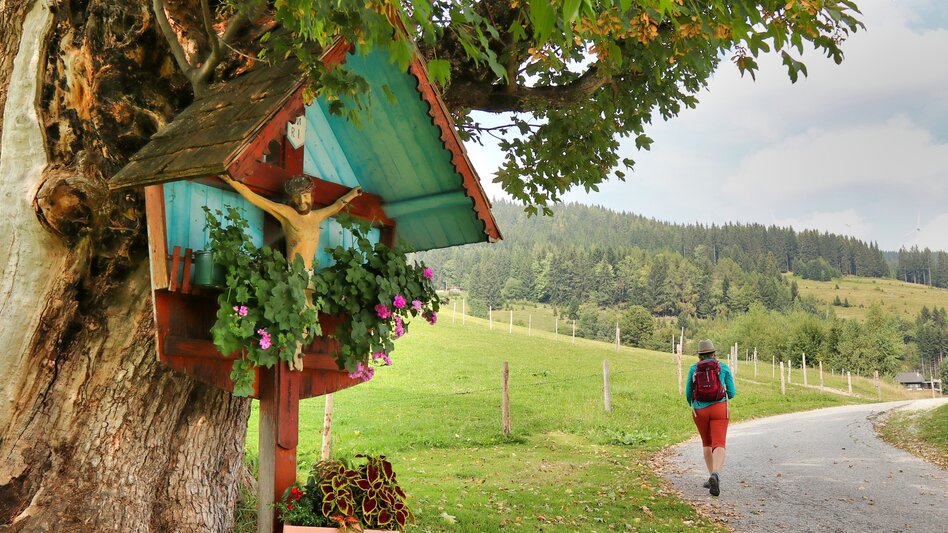 Hiking Route On the Steinriegel, St. Kathrein am Hauenstein - Touren-Impression #2.3 | © WEGES