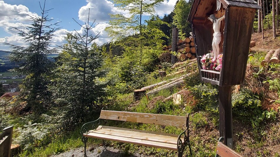 Jogging Ochsenhalt-Klassiker, Passail - Touren-Impression #2.9 | © Oststeiermark Tourismus