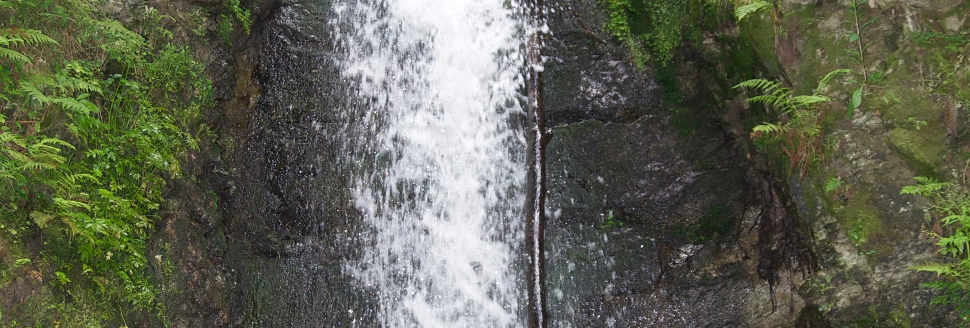 Hiking route Romai waterfall round, St. Jakob im Walde - Touren-Impression #1 | © Reinhold Orgis