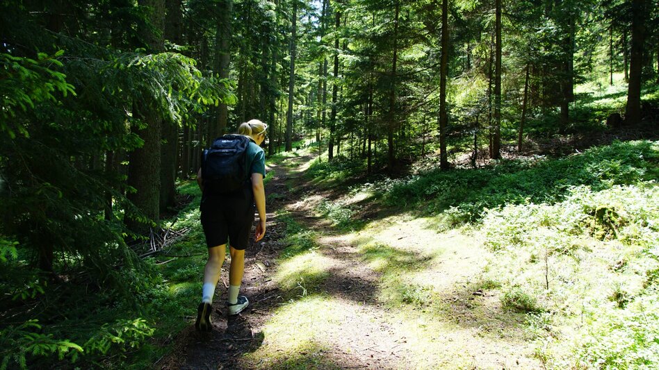 Hiking Route Romai waterfall round, St. Jakob im Walde - Touren-Impression #2.5 | © Oststeiermark Tourismus