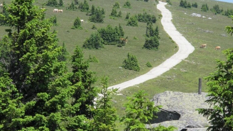 Hiking Route Alm circuit, Mönichwald - Touren-Impression #2.8 | © Oststeiermark Tourismus