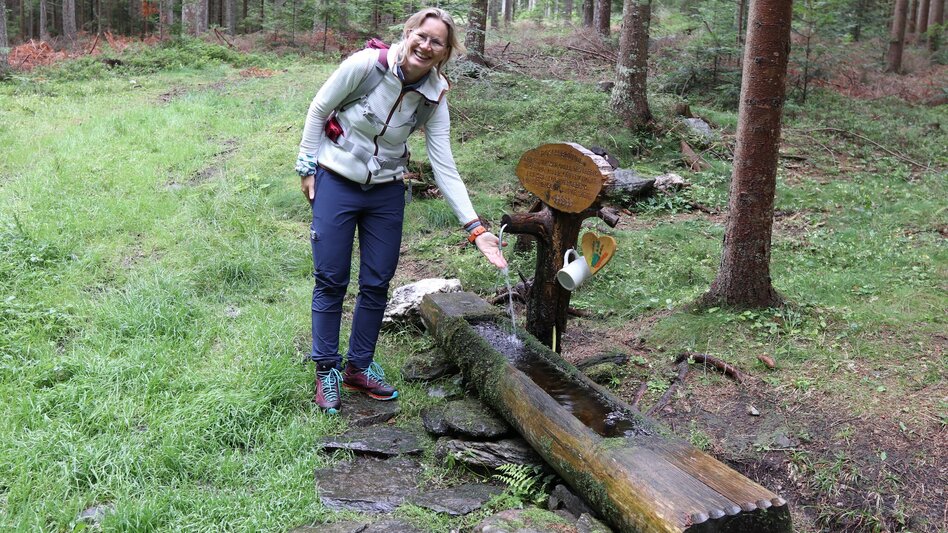 Hiking Route Strallegg circuit, Strallegg - Touren-Impression #2.3 | © Oststeiermark Tourismus