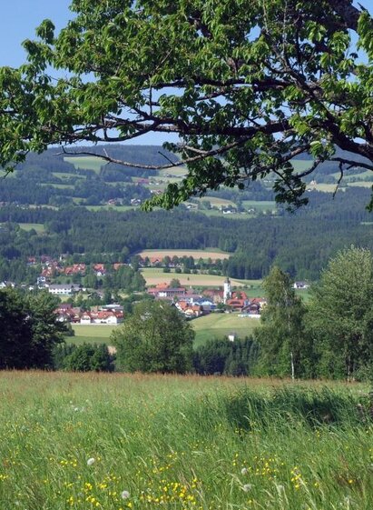 Panoramic view_nature_Miesenbach_Eastern Styria | © Fotogen | Fotogen | © Fotogen