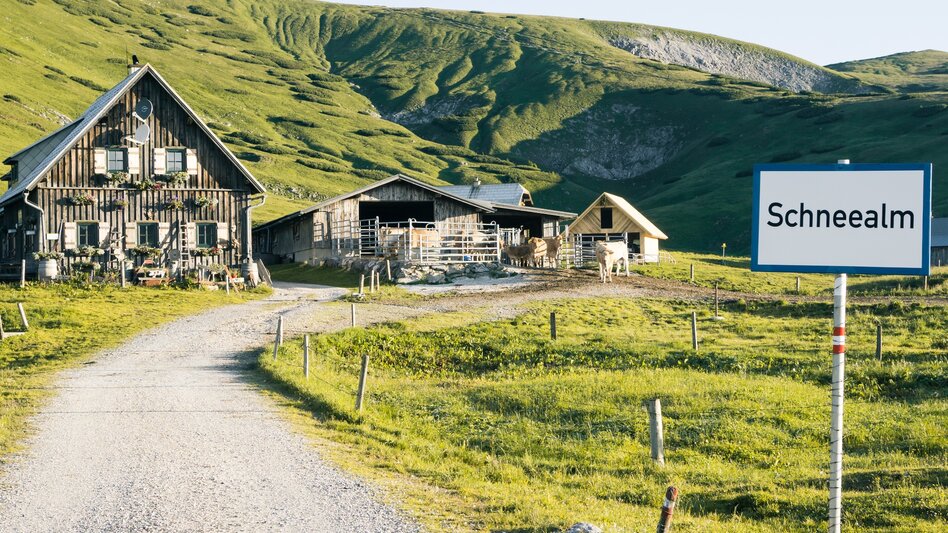 Long-Distance Hiking Trail Hochsteirische BergZeitReise - Touren-Impression #2.28 | © TV Hochsteiermark