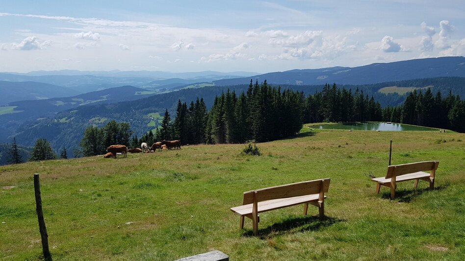 Mountain Biking Styrian Wexl Trails - Thalberger Schwaig Route - Touren-Impression #2.3