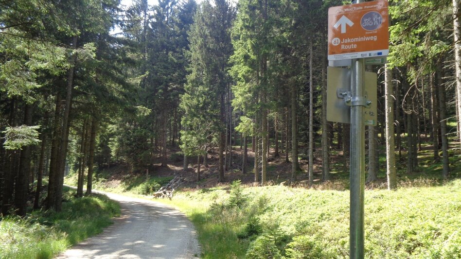 Mountain Biking Styrian Wexl Trails - Jakominiweg Route - Touren-Impression #2.2