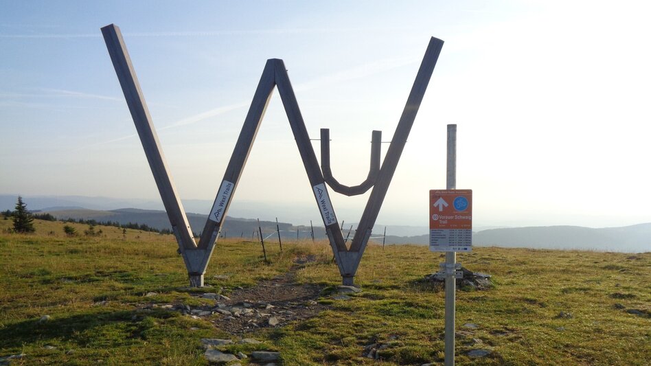 Mountain Biking Styrian Wexl Trails - Vorauer Schwaig Trail - Touren-Impression #2.1 | © Verein Tourismusentwicklung Steirischer Wechsel