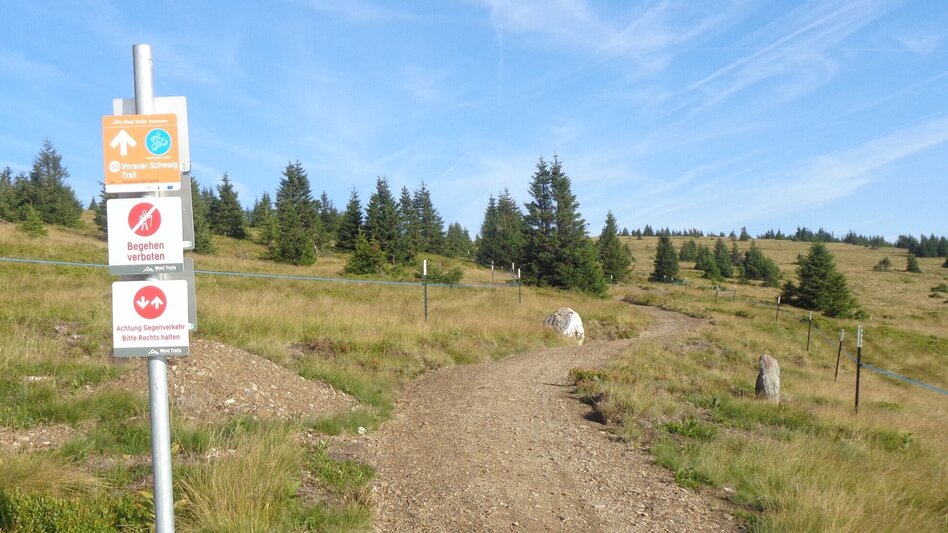 Mountain Biking Styrian Wexl Trails - Vorauer Schwaig Trail - Touren-Impression #2.2