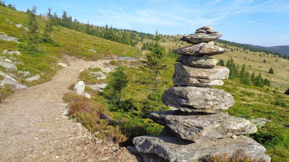 Mountain Biking Styrian Wexl Trails - Vorauer Schwaig Trail - Touren-Impression #2.3