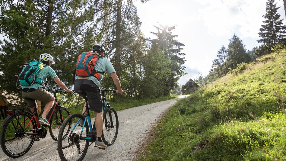 Mountainbike St. Lorenzen Runde / NOCKBIKE-Tour 05:  - Touren-Impression #2.2 | © Tourismusverband Murau
