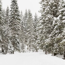 Winter hike | © Erlebnisregion Schladming-Dachstein