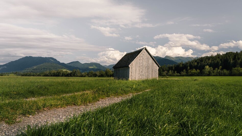Wanderung Moos-Rundwanderweg - Touren-Impression #2.3 | © Erlebnisregion Schladming-Dachstein