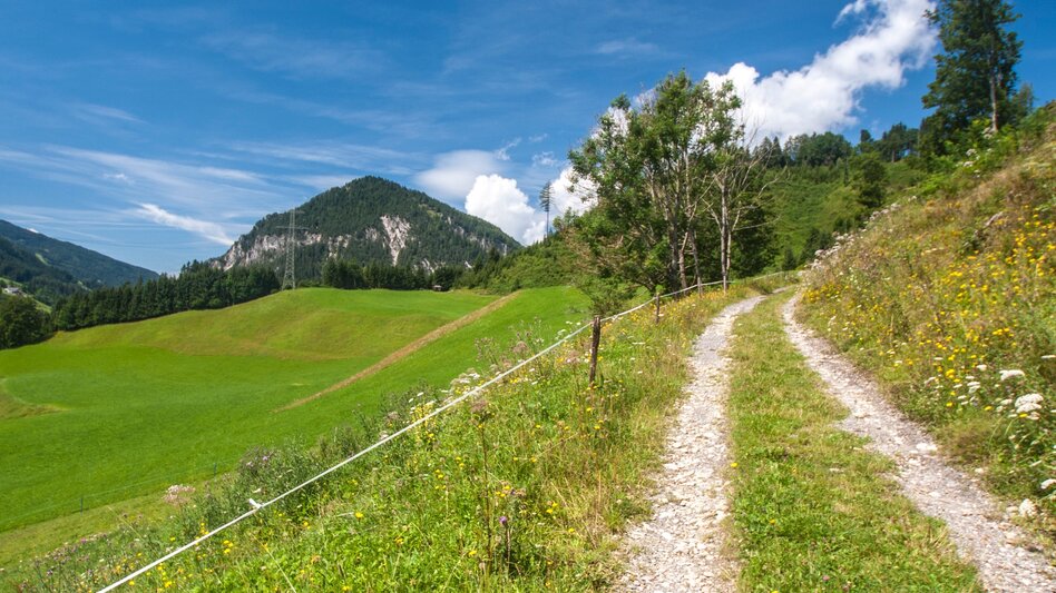 Nordic Walking Aberg Tour - Touren-Impression #2.2 | © Gerhard Pilz - www.gpic.at
