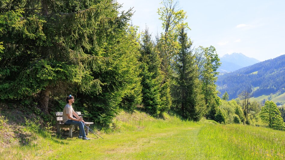 Nordic Walking Dörferrunde - Touren-Impression #2.4