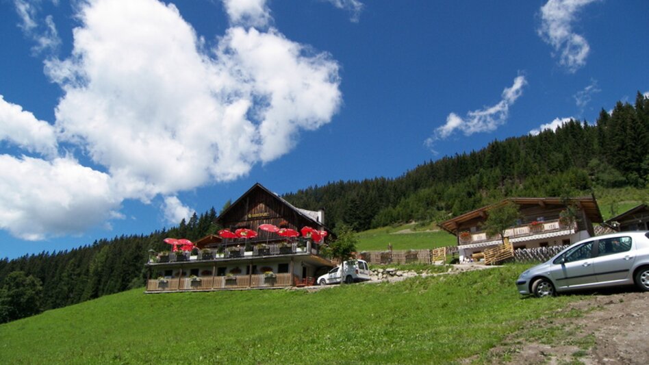Nordic Walking Rittisberg Walking-Runde - Touren-Impression #2.8 | © Erlebnisregion Schladming-Dachstein