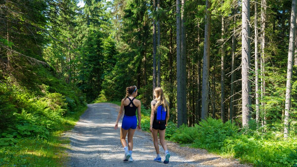Nordic Walking Rittisberg Walking-Runde - Touren-Impression #2.5 | © Christine Höflehner