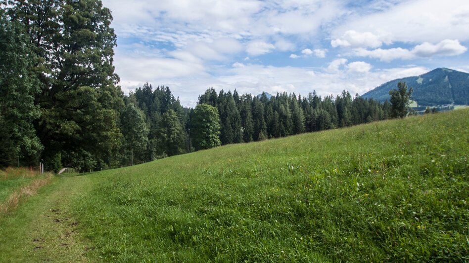 Nordic Walking Vorbergrunde - Touren-Impression #2.6 | © Gerhard Pilz