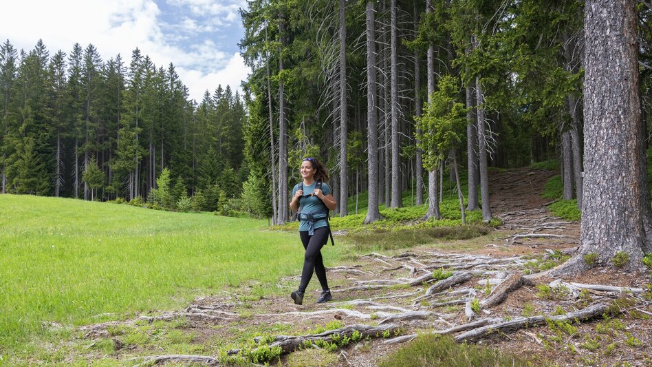 Nordic Walking Vorbergrunde - Touren-Impression #2.5