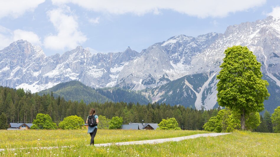 Nordic Walking Vorbergrunde - Touren-Impression #2.1