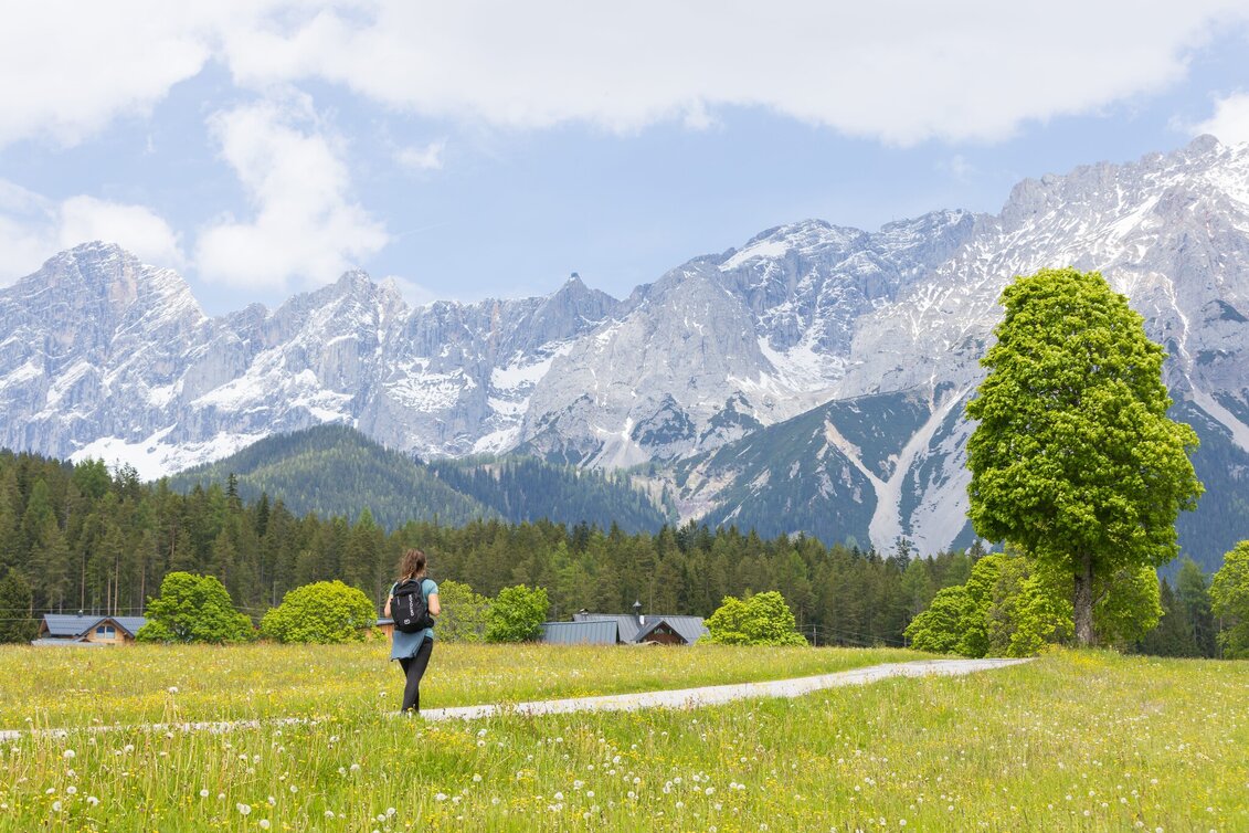 Nordic Walking Vorbergrunde - Touren-Impression #1
