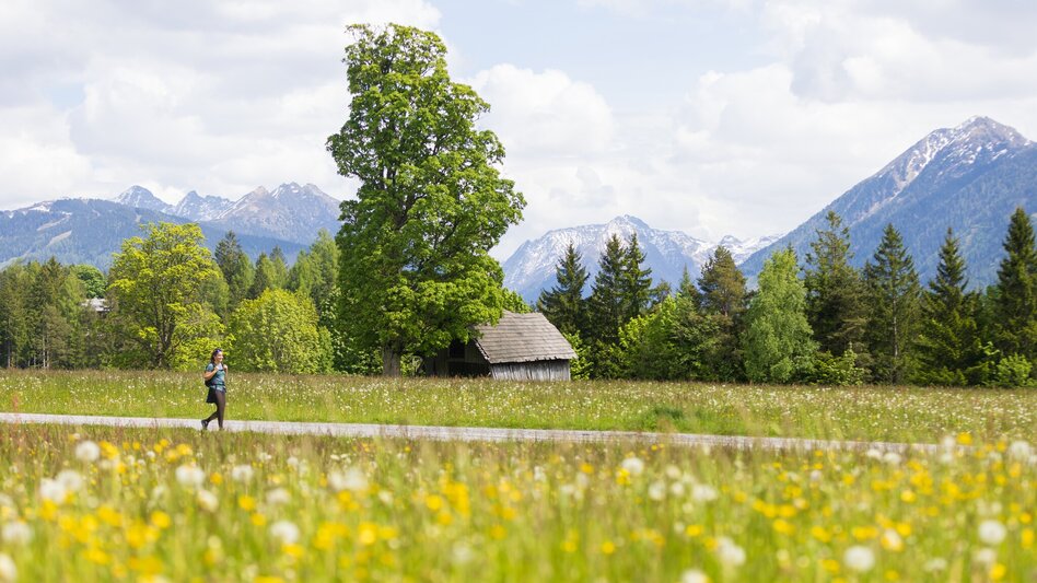 Nordic Walking Vorbergrunde - Touren-Impression #2.8