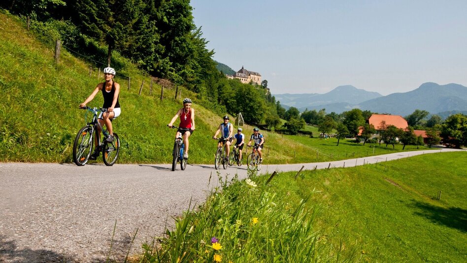 Cycling Schenkenberg Tour 741 - Touren-Impression #2.6 | © Region Graz
