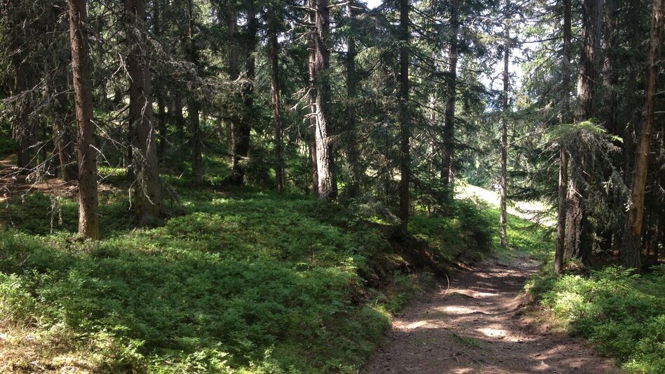 Hiking Route Ore Trail - Touren-Impression #2.7 | © Gerhard Pilz