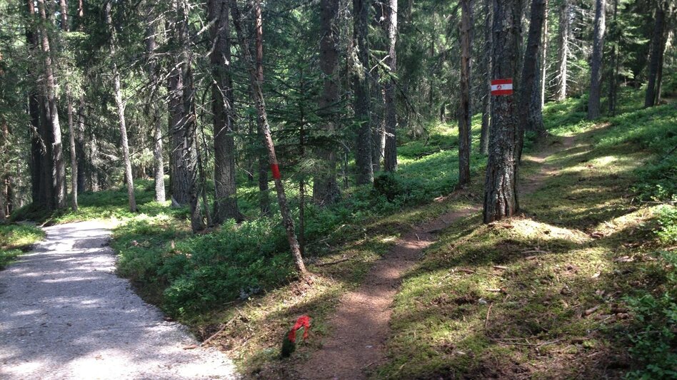 Hiking Route Ore Trail - Touren-Impression #2.8 | © Gerhard Pilz
