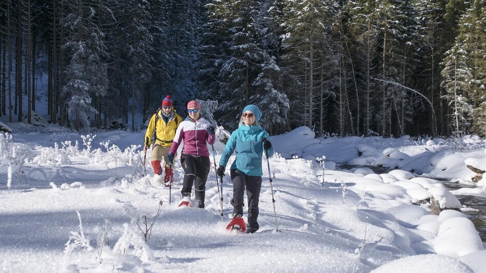 Schneeschuhwandern Schneeschuhtour Obertal - Touren-Impression #2.7 | © Gerhard Pilz - www.gpic.at