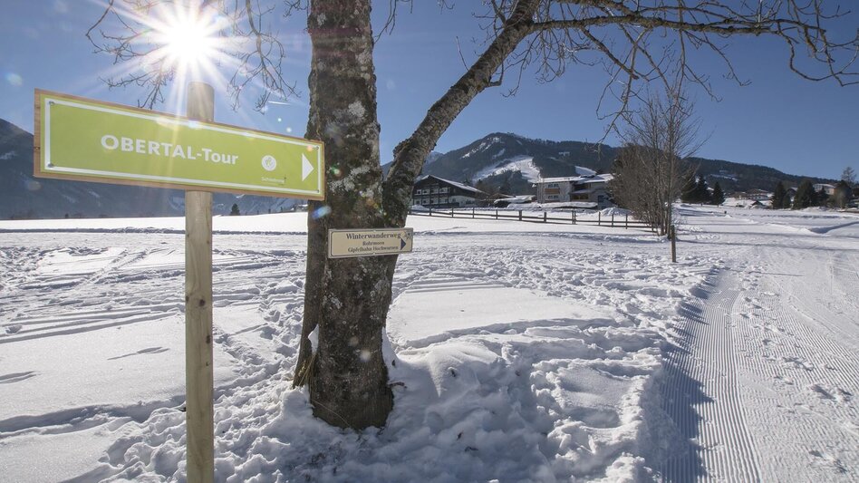Schneeschuhwandern Schneeschuhtour Obertal - Touren-Impression #2.9 | © Gerhard Pilz - www.gpic.at